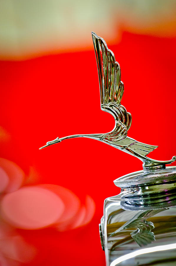 The Heron – Cadillac/LaSalle Mascot – Photo: Jill Reger