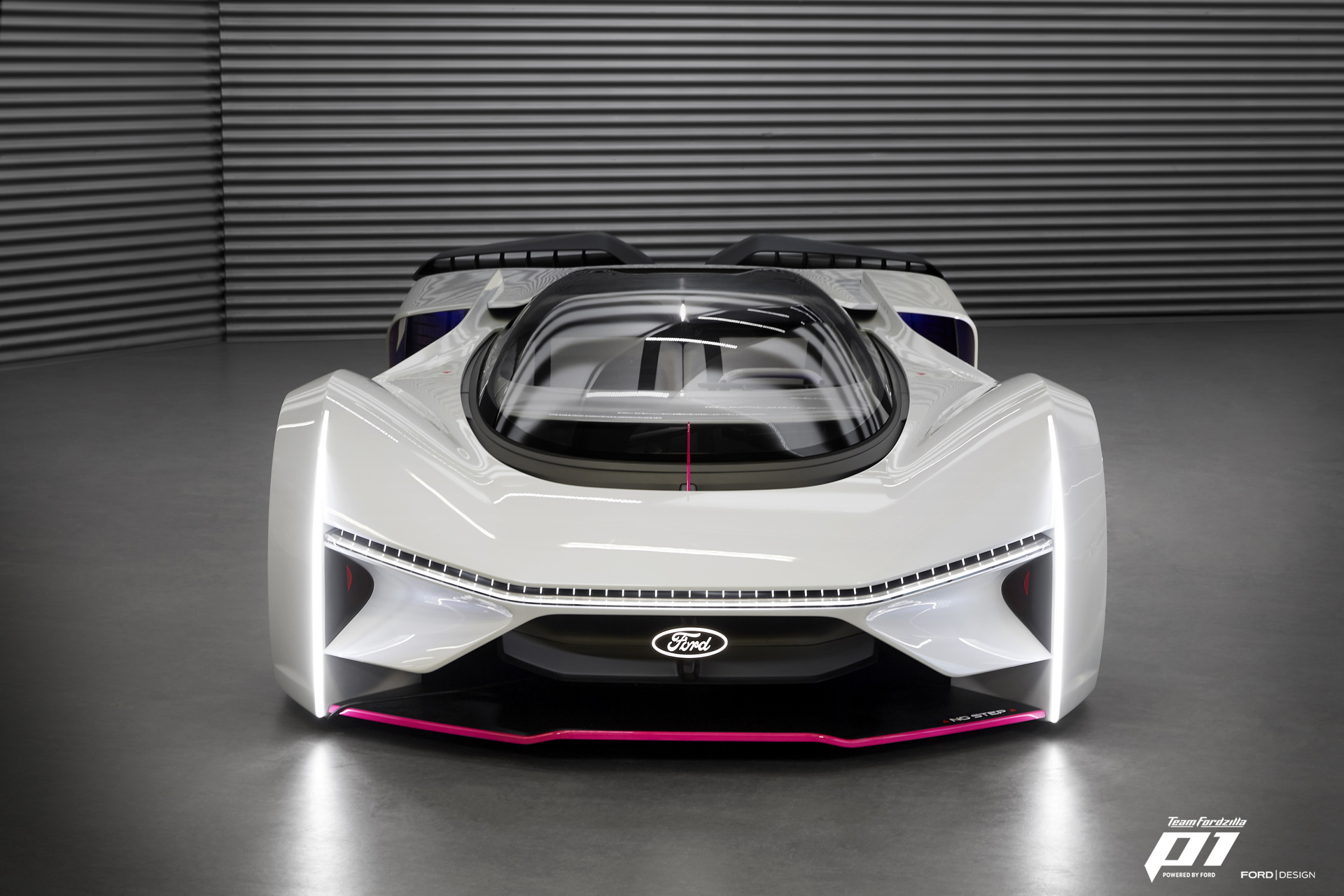 Team Fordzilla P1 (2020)