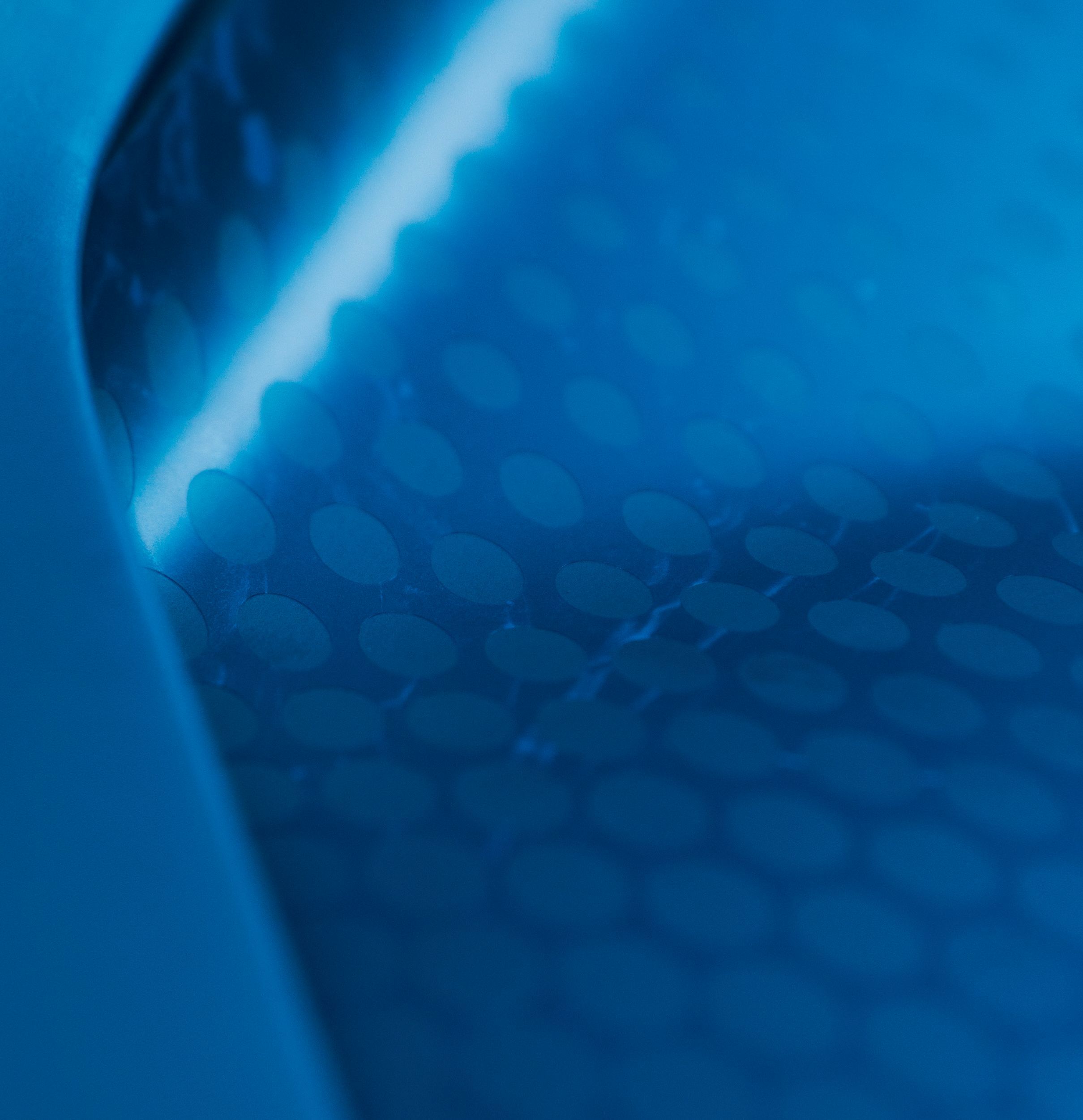 Bugatti W16 Mistral Fly Bug (2026)