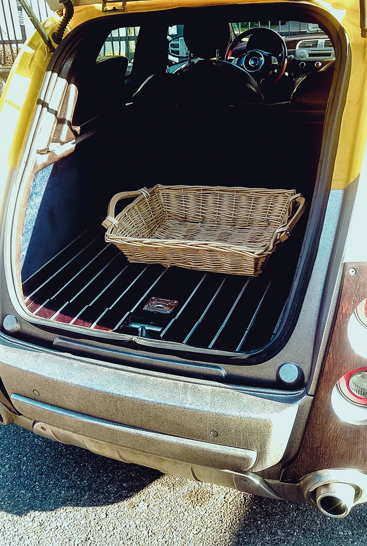 Fiat 500 Woody Wagon (Castagna), 2007