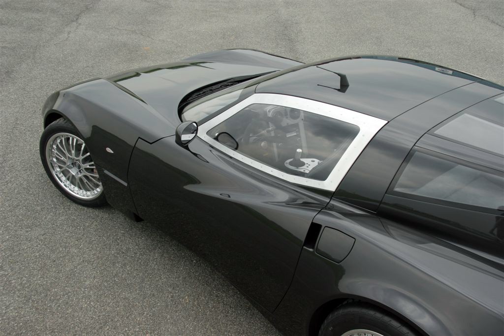 Spada Codatronca, 2008
